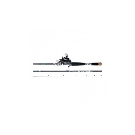 Daiwa Procaster 80 System Combo