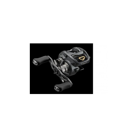 DAIWA STEEZ CASTING REEL